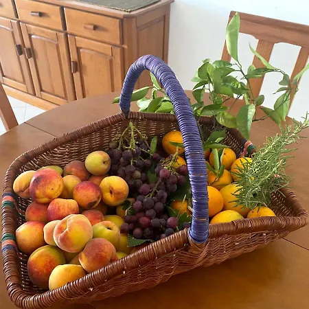 C Dreams - Comfortable And Luminous * Albufeira