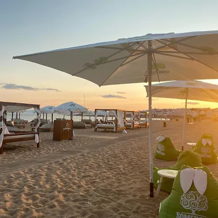 C Dreams - Comfortable And Luminous *