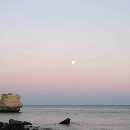 Apartment C Dreams - Comfortable And Luminous