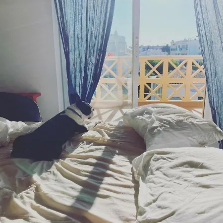 C Dreams - Comfortable And Luminous Apartment