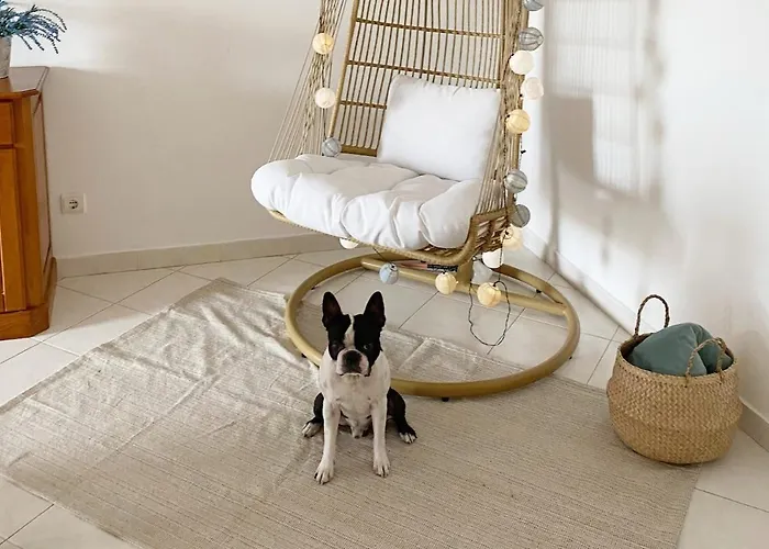 C Dreams - Comfortable And Luminous Apartment