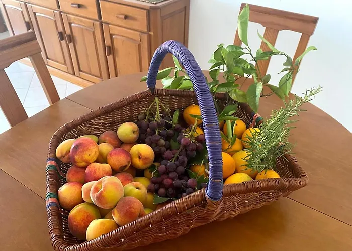 C Dreams - Comfortable And Luminous * Albufeira