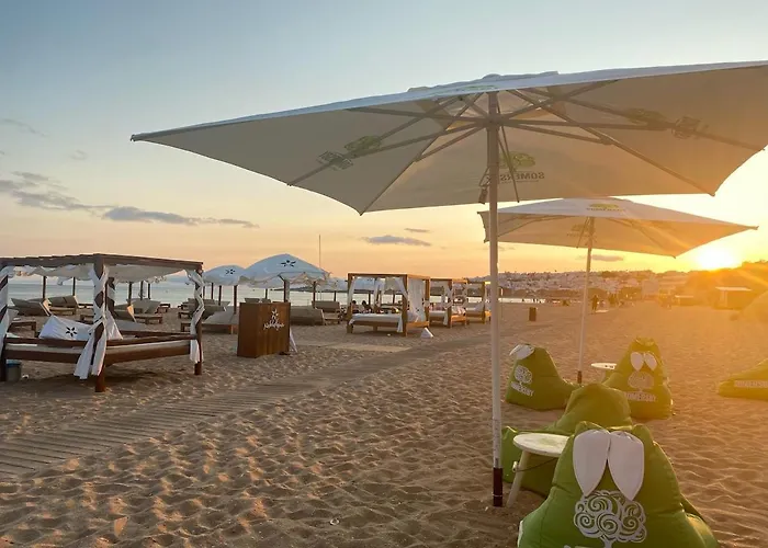 C Dreams - Comfortable And Luminous *