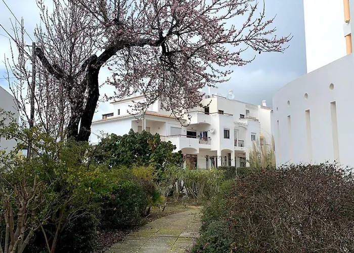 C Dreams - Comfortable And Luminous