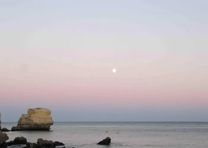 Apartment C Dreams - Comfortable And Luminous