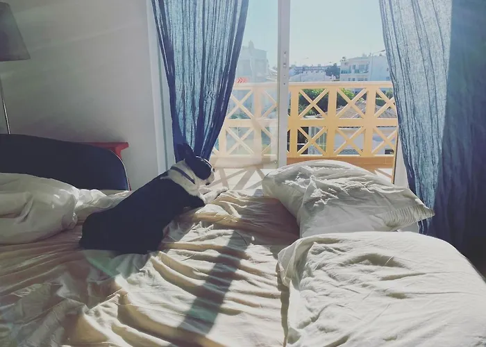 C Dreams - Comfortable And Luminous Apartment