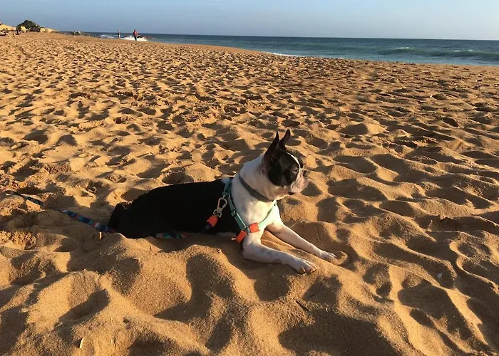 Apartment C Dreams - Comfortable And Luminous Albufeira