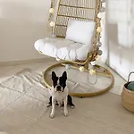 C Dreams - Comfortable And Luminous Apartament